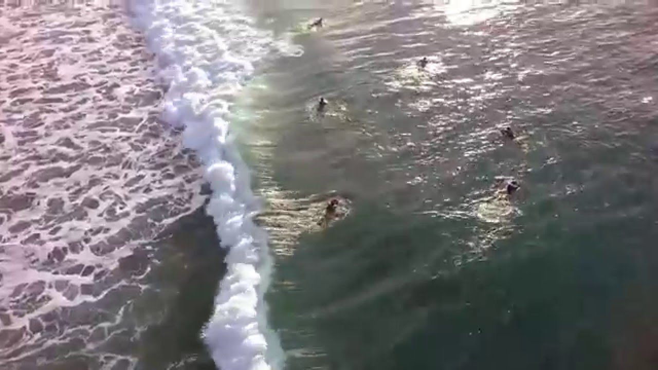 Sunset Surf // Vila Praia de Âncora // Aerial View