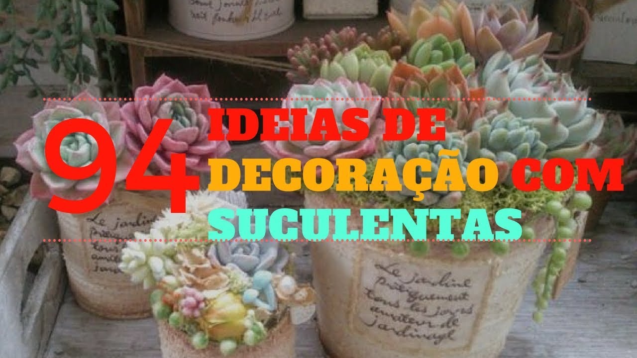 S U C U L E N T A S 94  ideias de decoração