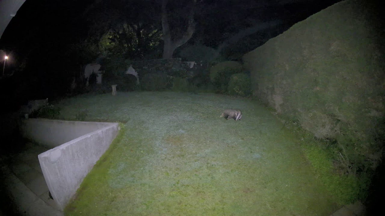 Arlo Ultra - 4K night test