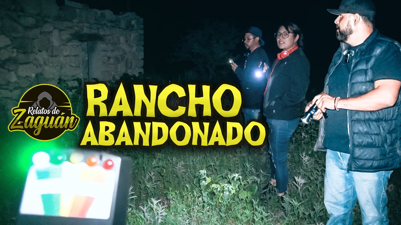 VI UN CATRÍN RECARGADO EN EL ÁRBOL !! Exploración Nocturna