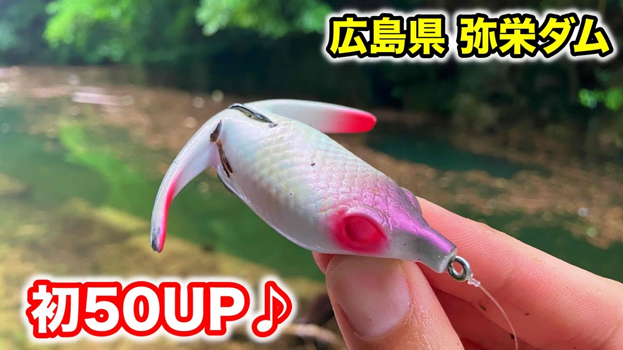 広島弥栄湖バス釣り。パタパタ系のルアー（バジリスキー）に好反応でめっちゃ楽しめました♪【車中泊釣り】