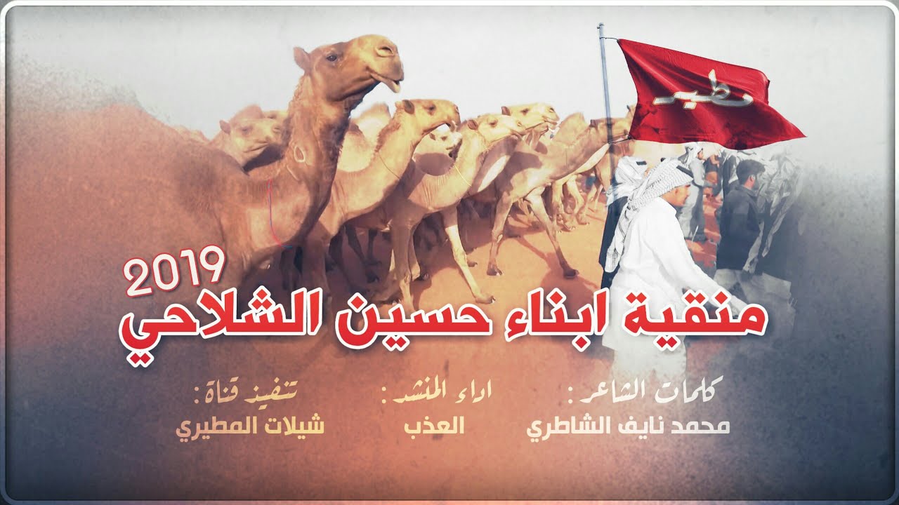 جديد شيلة منقية ابناء حسين الشلاحي 2019 مطير || كلمات محمد نايف الشاطري || اداء العذب