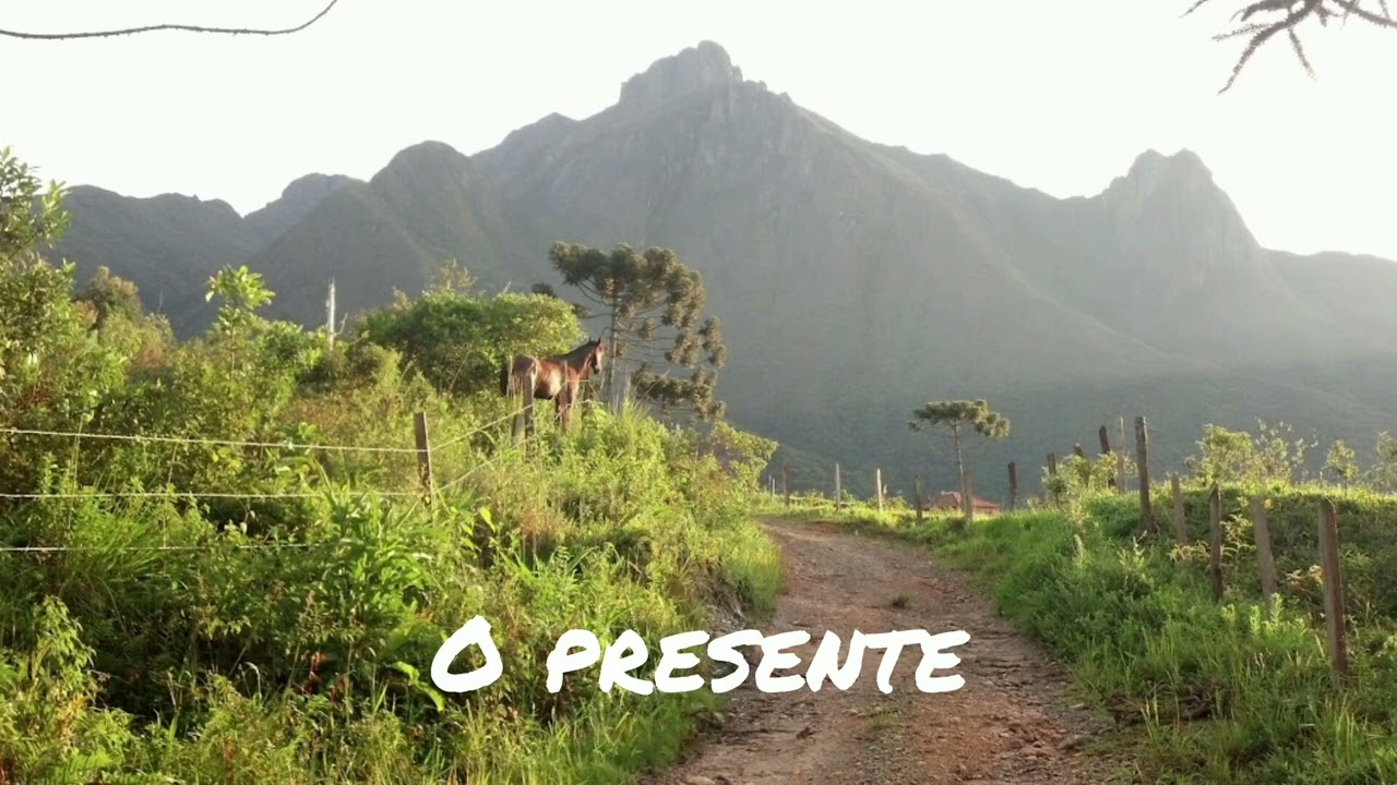 O PRESENTE (Davi Coura)