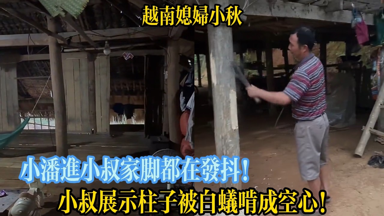 小潘進小叔家腳都在發抖！小叔展示柱子被白蟻啃成空心！【越南媳婦小秋】