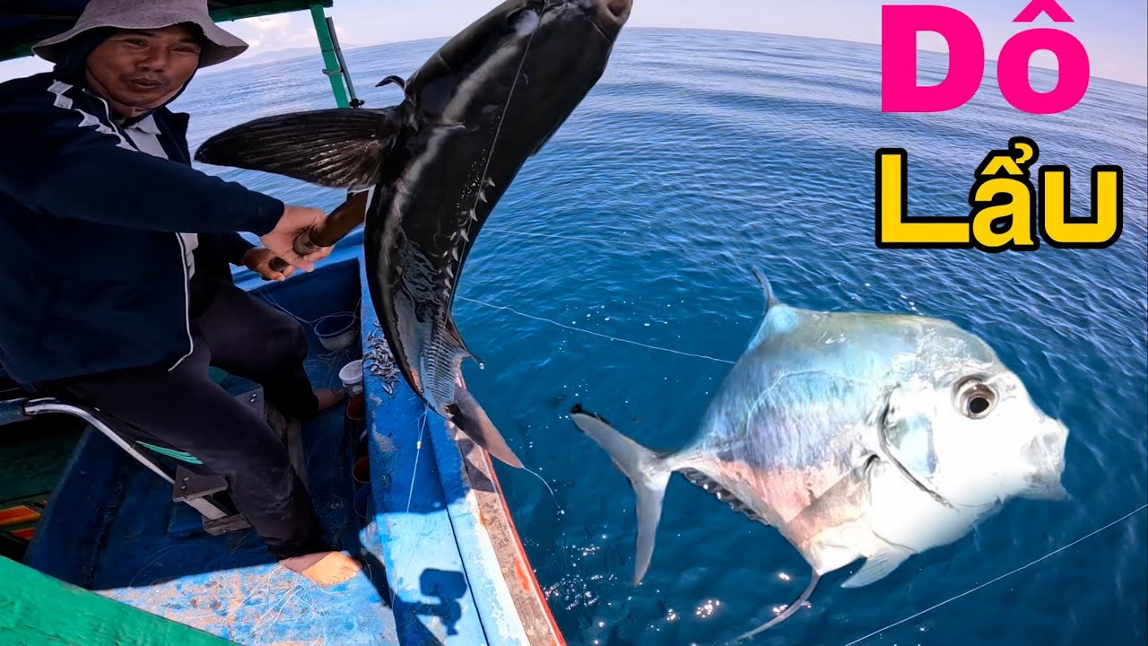 311) TRÚNG RỒI, TRÚNG RỒI…