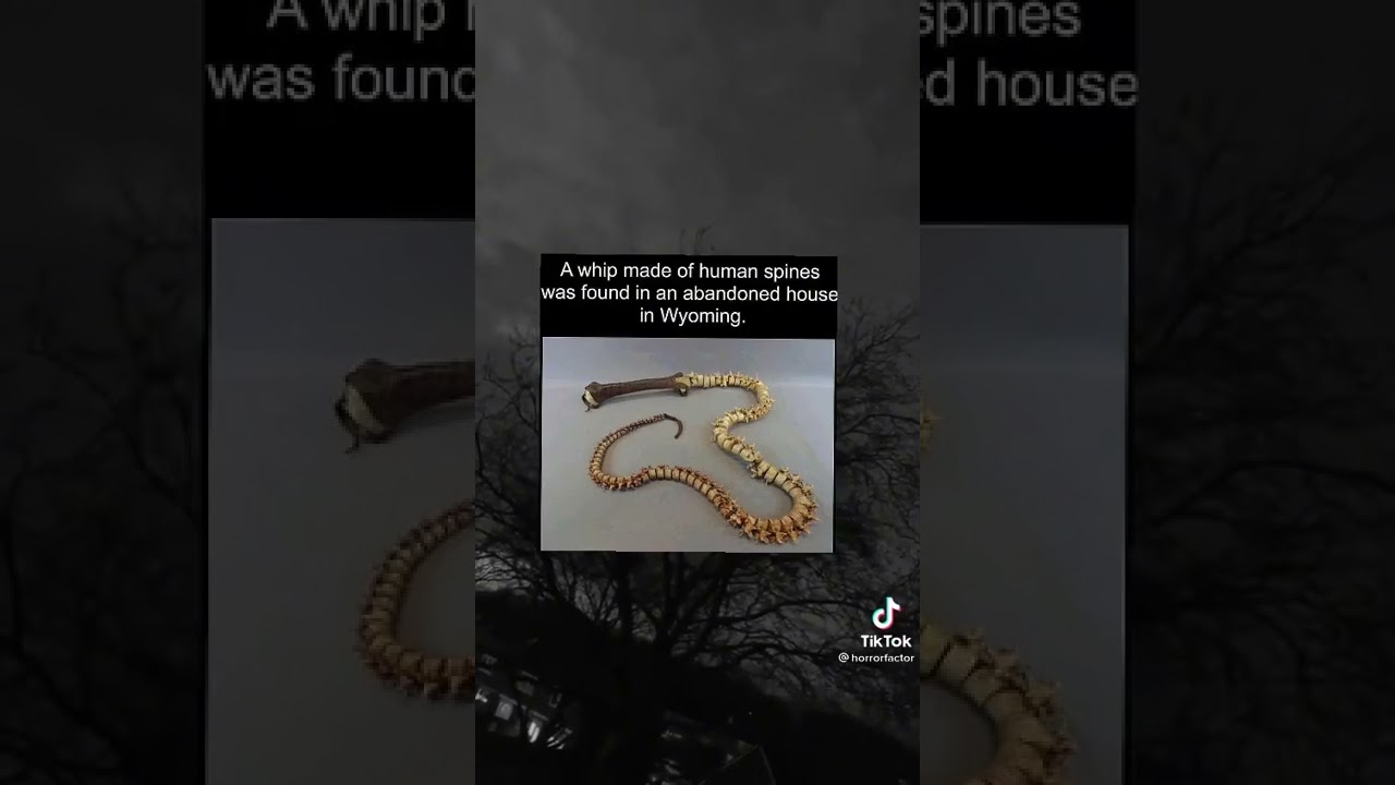 bone whip
