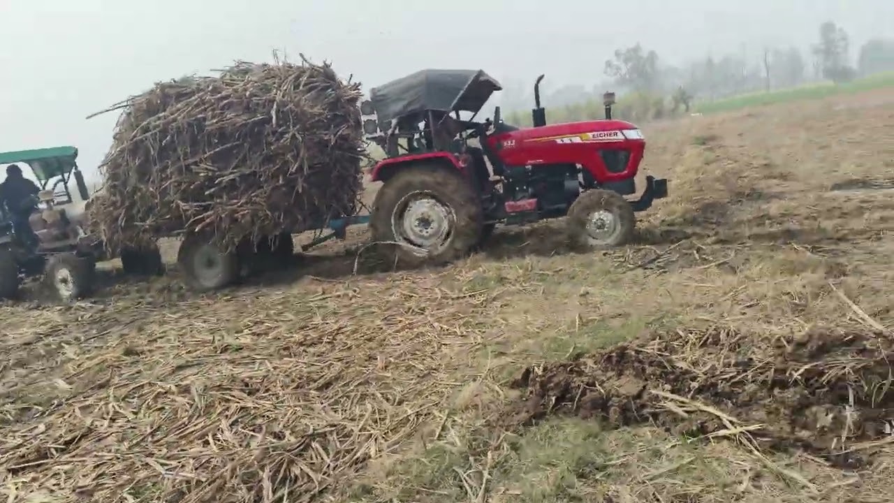 Tractor tochan chana gaon ke Nikki driver roli Puri Das chuki hai