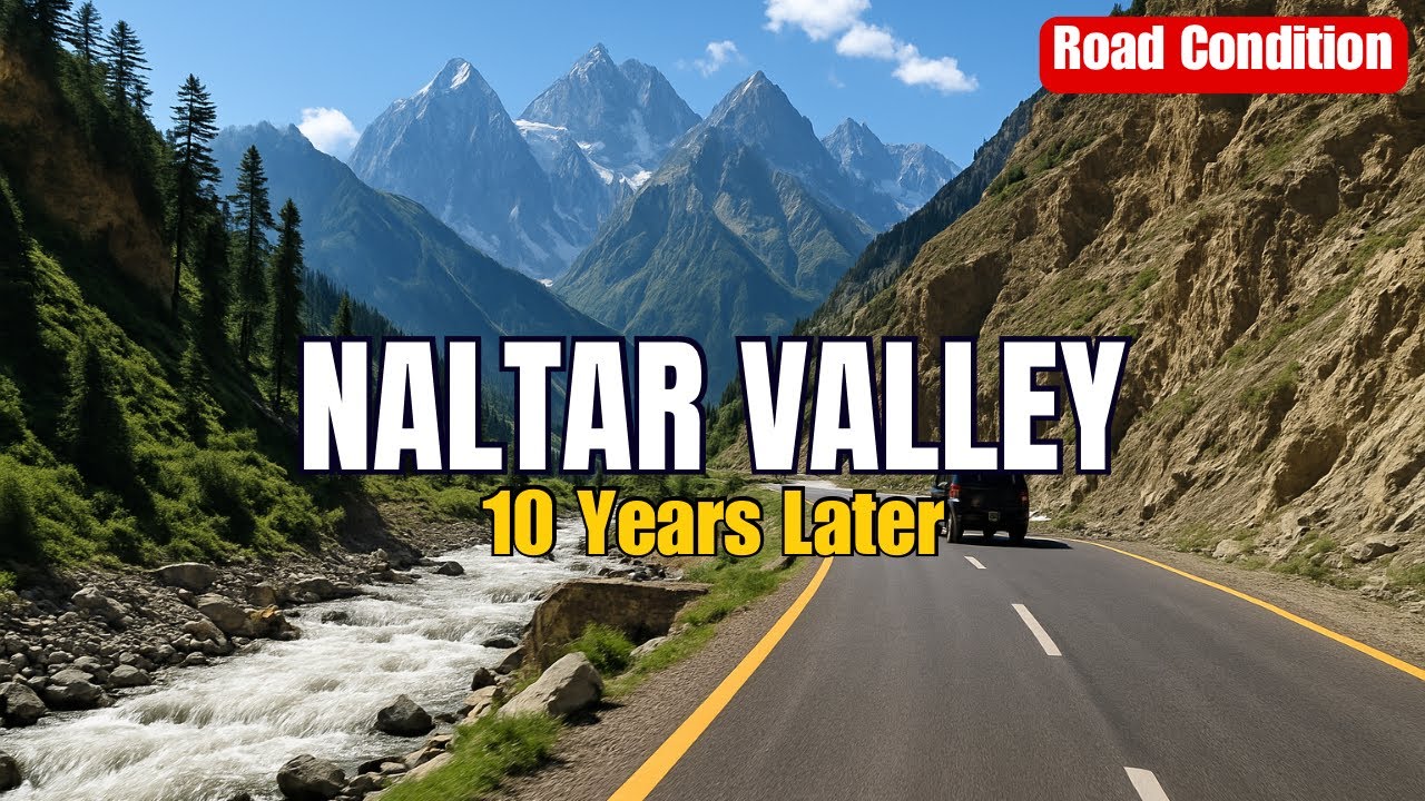 Naltar Valley After 10 Years | Then vs Now | Road Conditions 2025 | Hunza To Gilgit | Nomal Valley