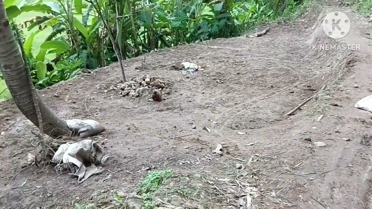 Selesei. Bekerja mau pulang