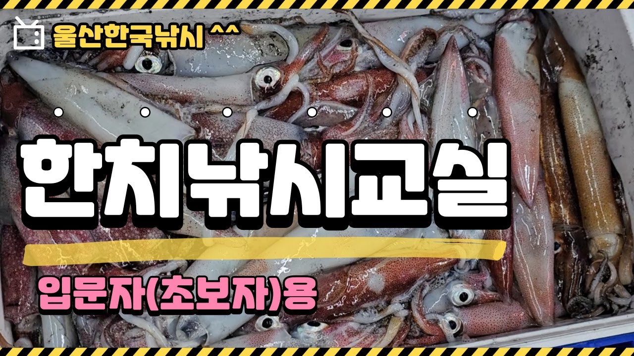 [울산한국낚시] 한치낚시교실 (입문자 및 초보자용)