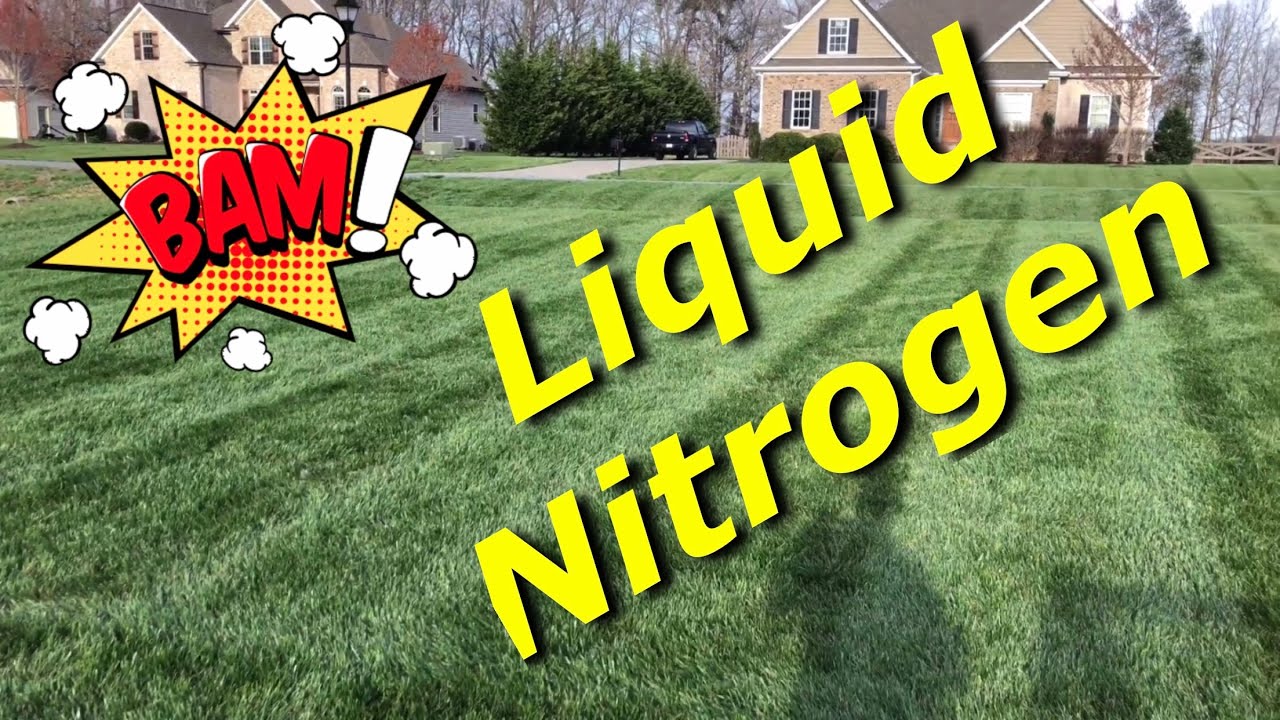 Liquid Nitrogen Testing - How Good Is It?