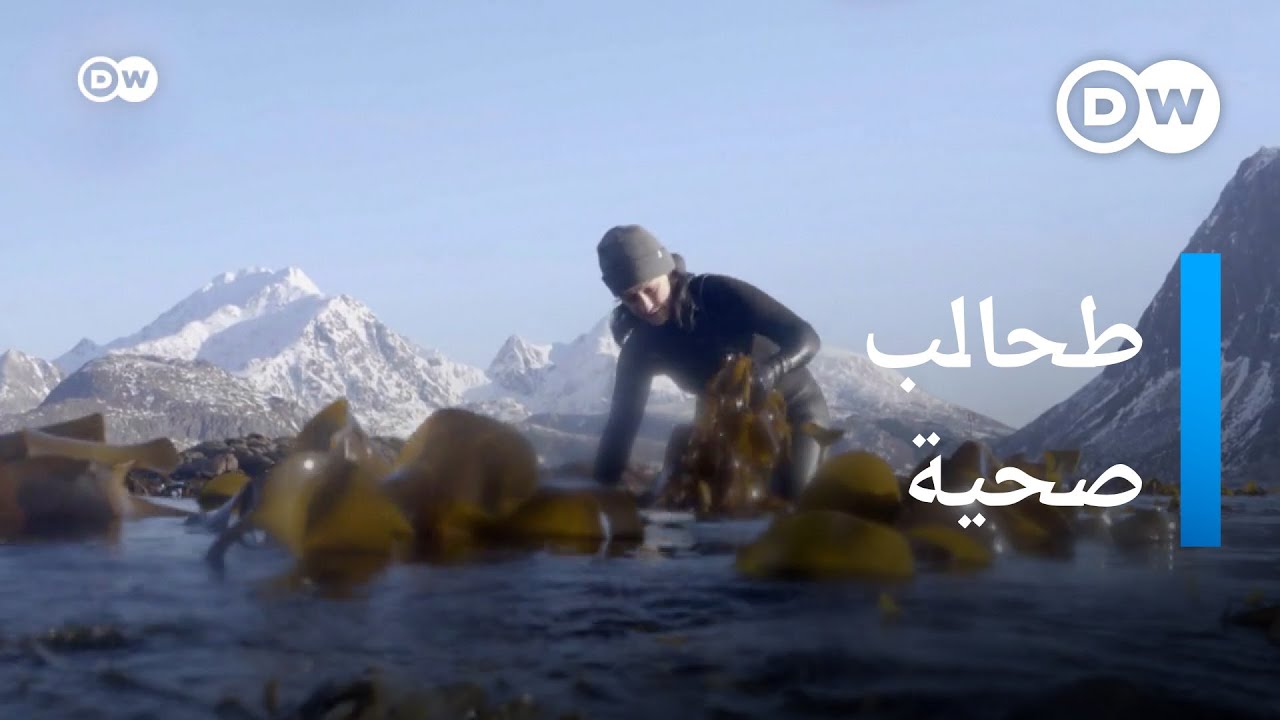 طحالب الكمأة..  هل تنضم لأغذية 
