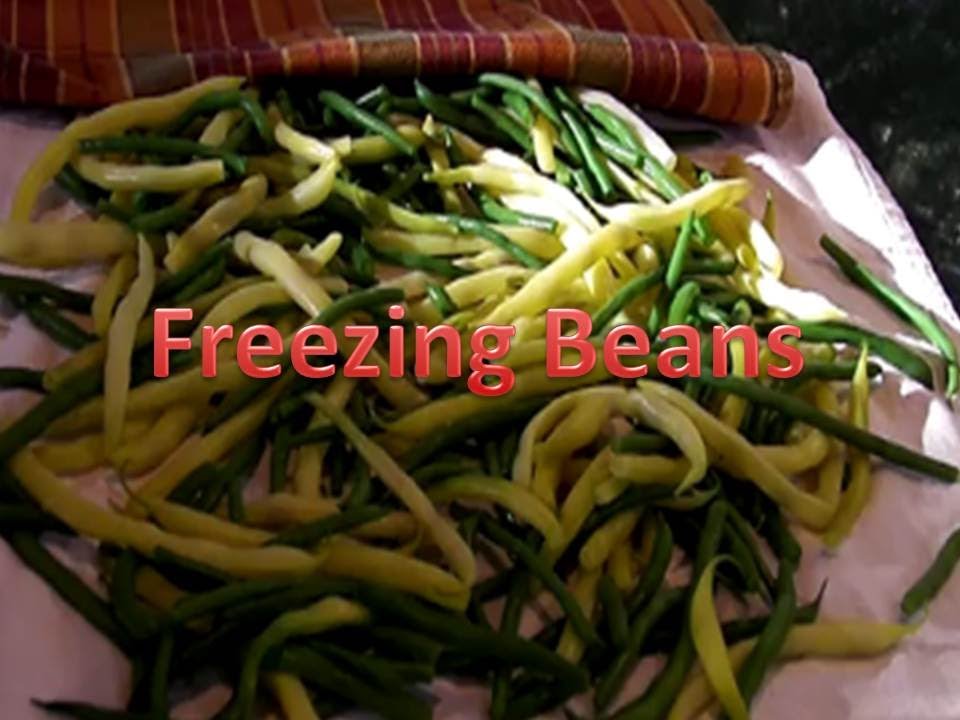 Freezing Beans