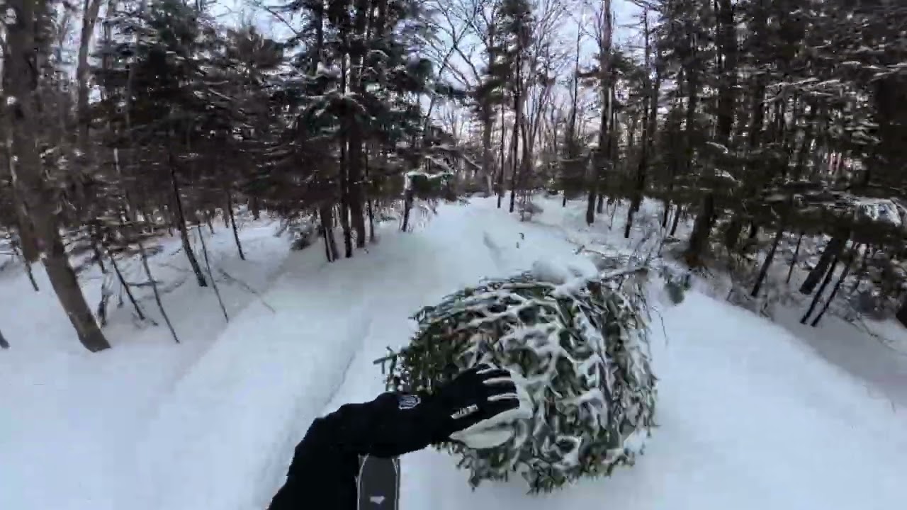 The Bruce Trail. Stowe, VT