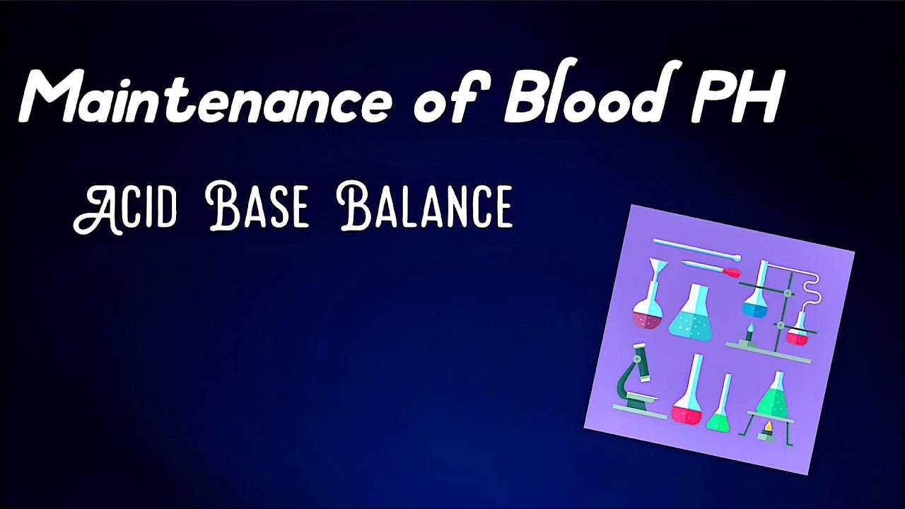 Acid base pH  buffer Maintenance of body buffers bicarbonate buffer Phosphate buffer