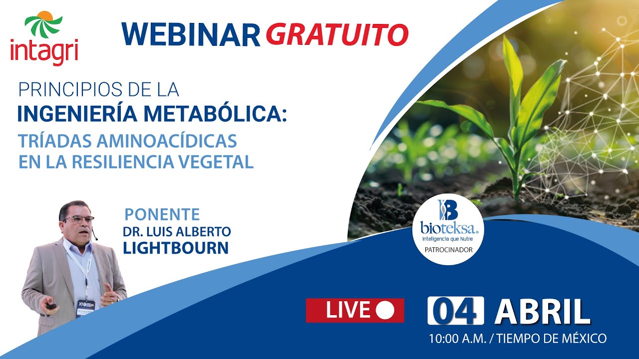 WEBINAR GRATUITO