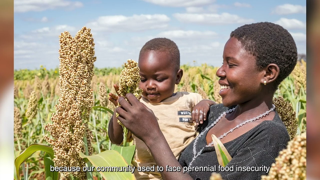 SEEDS OF TRANSFORMATION: The success story of small scale farmers in Tanzania.