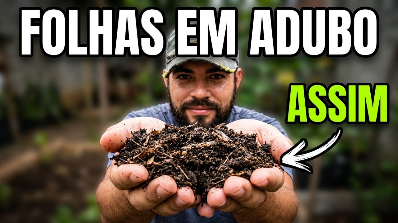 SE VOCÊ TEM ISSO EM CASA, NÃO JOGUE FORA É O MELHOR ADUBO PARA PLANTAS