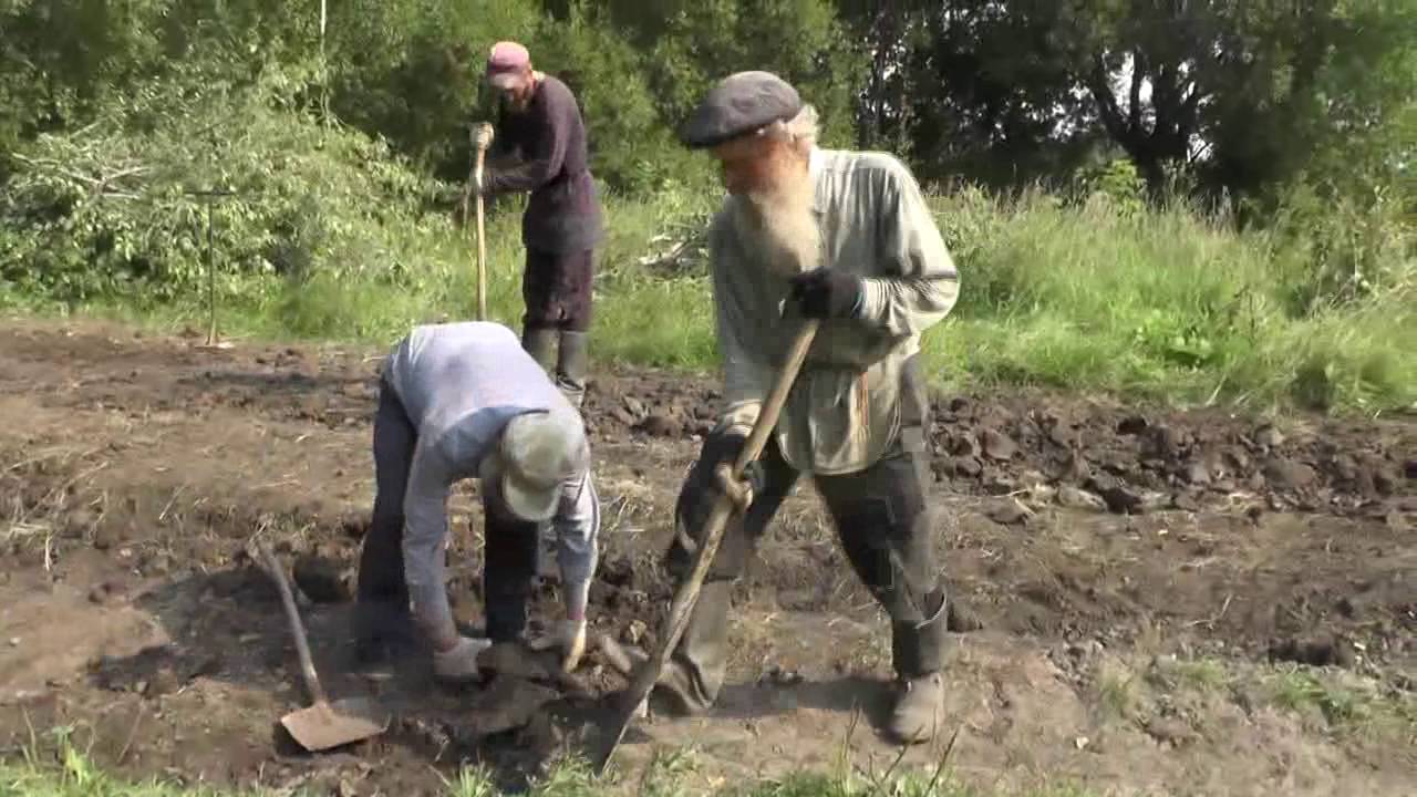Дорога в деревне.  17. 08. 2016. Посёлок Потеряевка. Алтай.