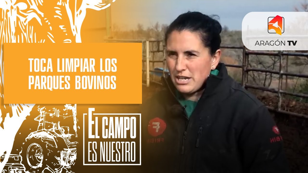 Día de limpieza de parques bovinos