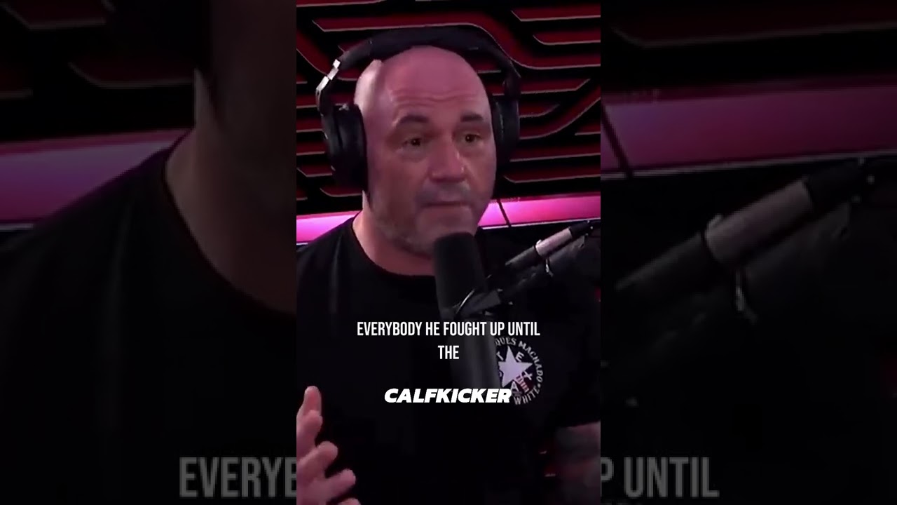 Joe Rogan on Jon Jones vs Alexander Gustafsson fight