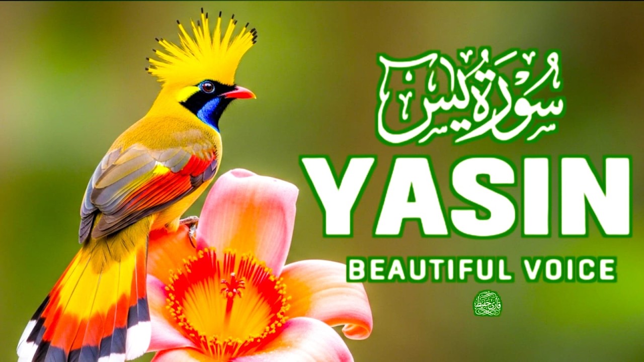 Surah Yaseen Full | Heart-Melting Recitation for Instant Stress Relief & Soul Healing (سورة يس)