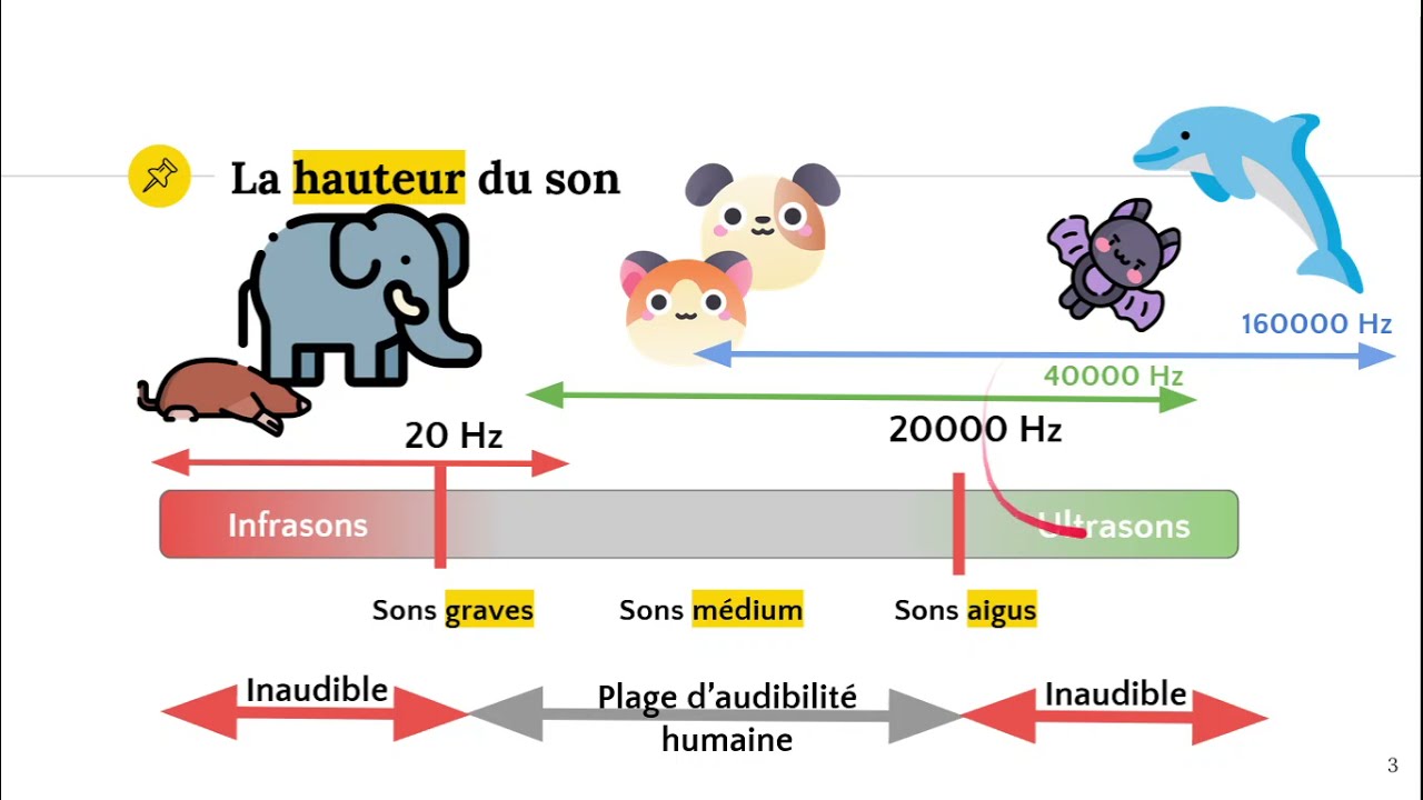 Les sons graves et aigus