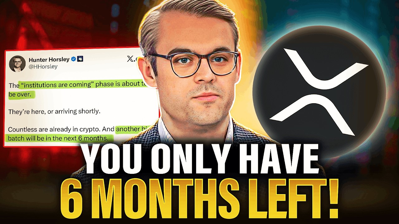 BITWISE CEO: YOU ONLY HAVE 6 MONTHS LEFT | XRP HOLDERS MUST LISTEN
