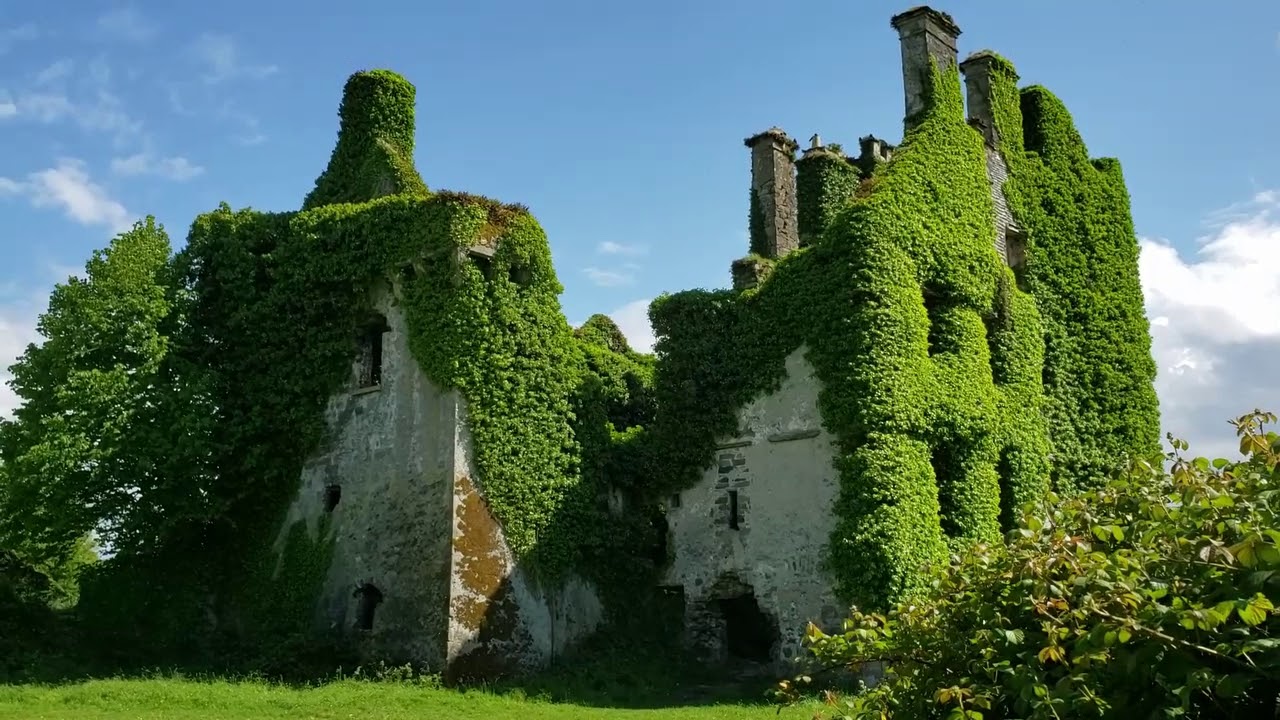 Ireland (1 of 9) Menlo Castle Ruins