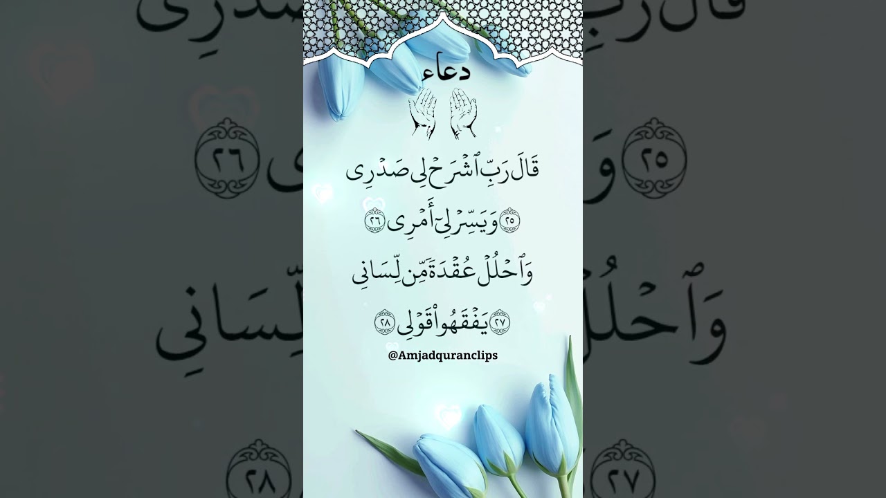 DUA | Rabbish Rahli Sadri | Quran #amjadquranclips