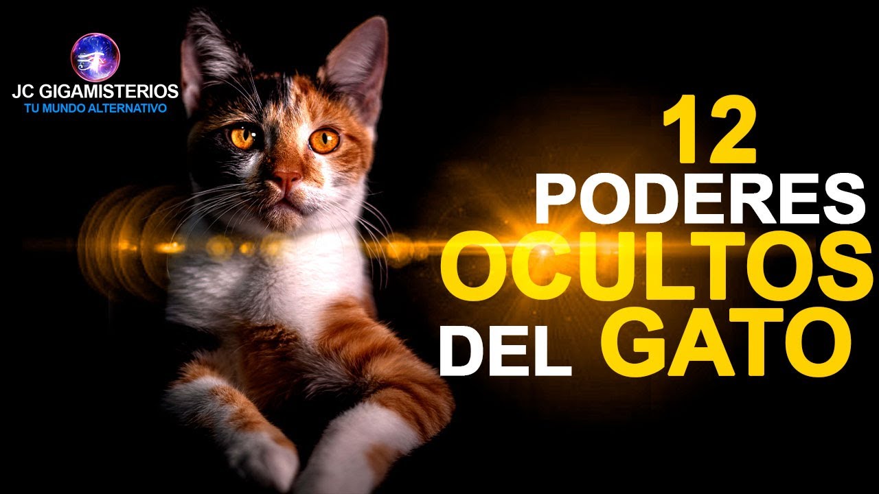 10 PODERES OCULTOS de los GATOS