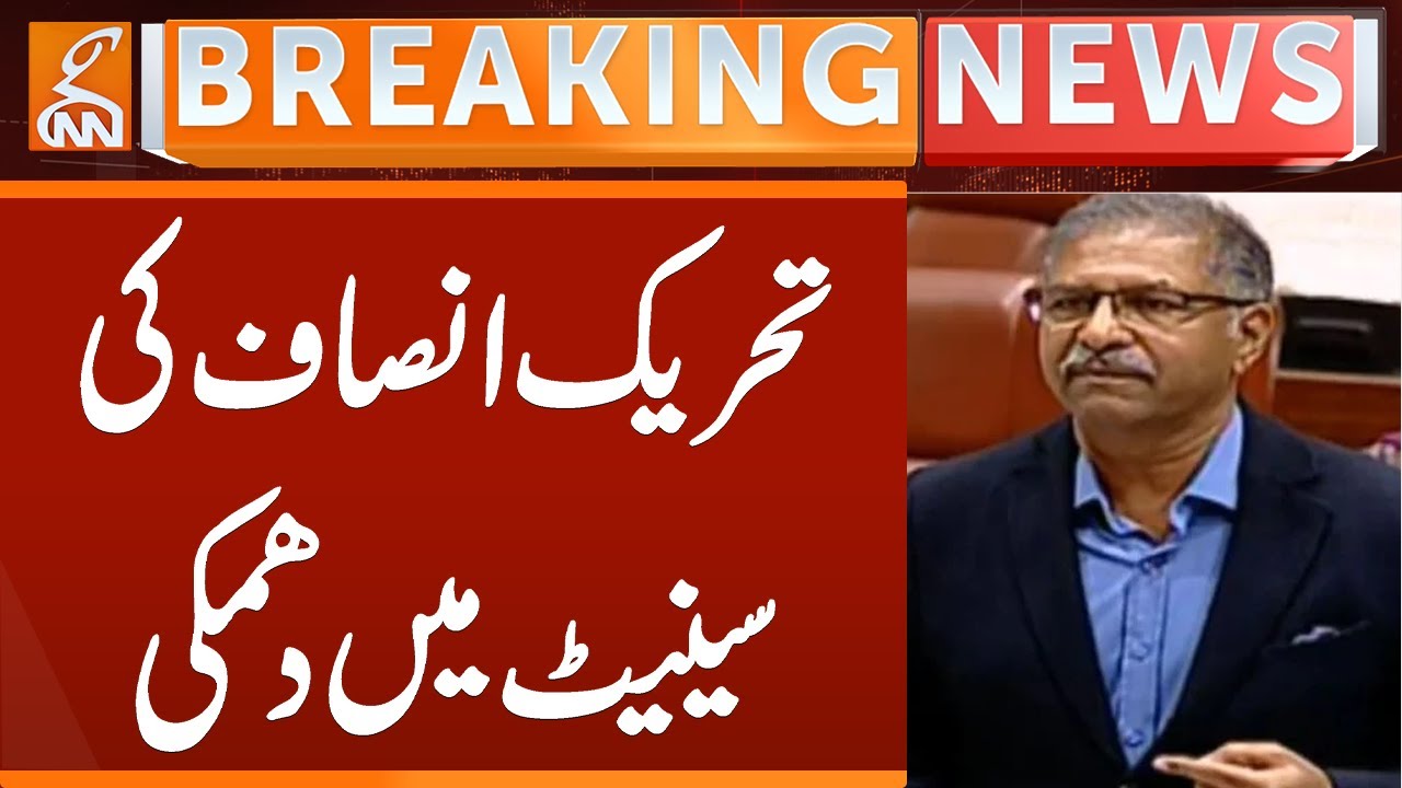 Barrister Ali Zafar Shocking Statement in Senate | Breaking News | GNN