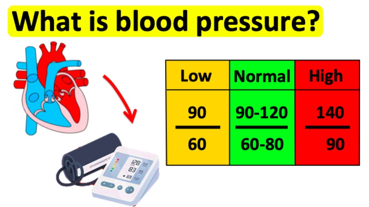 What is blood pressure? 🤔 | High blood pressure & low blood pressure