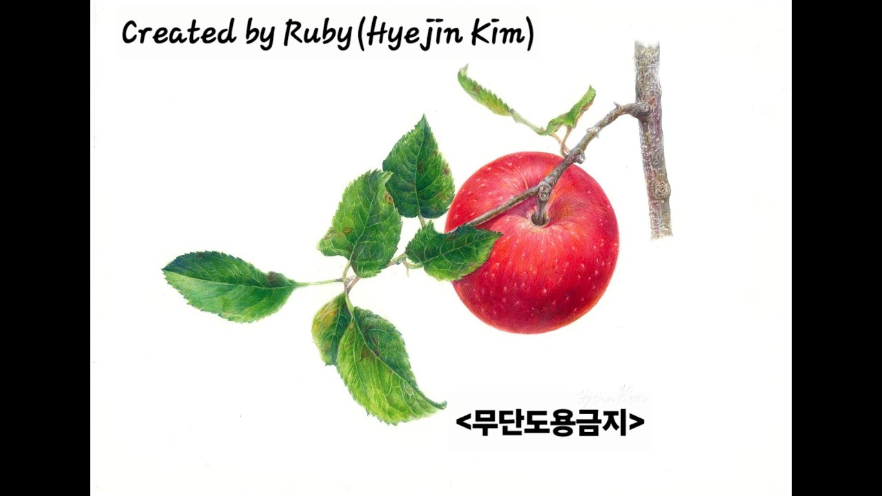 사과(An Apple) created by Ruby(Hyejin Kim)