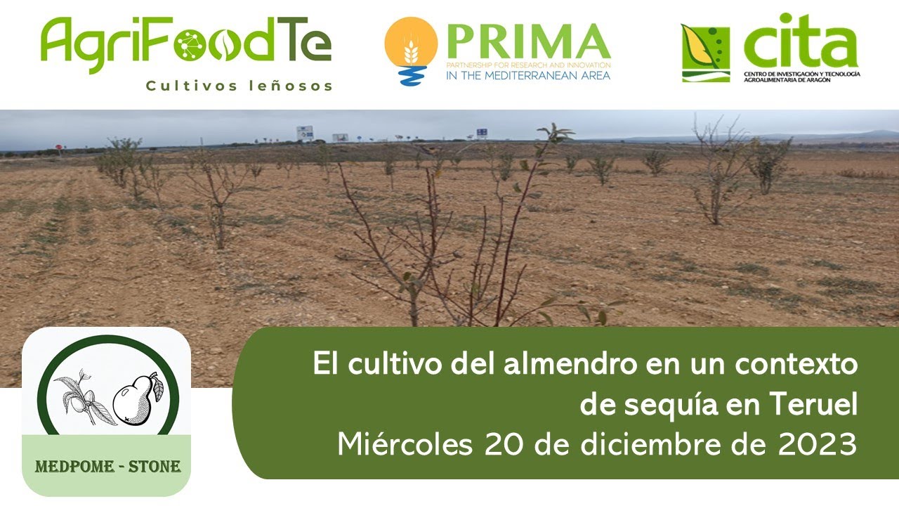 Red AgrifoodTe - El cultivo del almendro en un contexto de sequía en Teruel el 20/12/2023