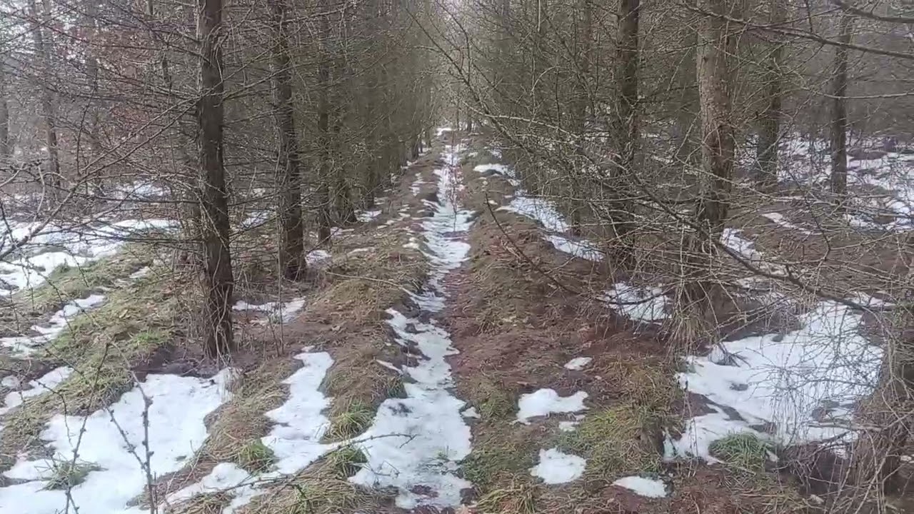 | ROZPOCZĘCIE SEZONU 2026 WYPRAWA ZA ZRZUTAMI | #2026 #nature #zrzuty 
