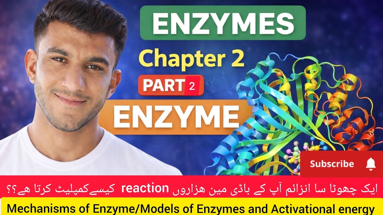 Machanisms of Enzyme/ lock and key model/ Induce Fit Model/Activational energy.Sindh board biology.