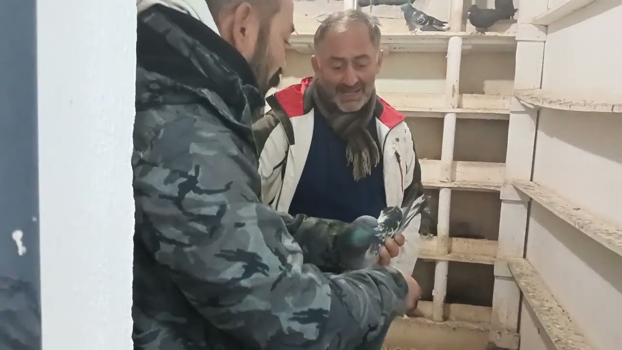 yunus atılgan abime teşekkür ederim iyi kan kuş istiyen akşam saat 21.30 canlı
