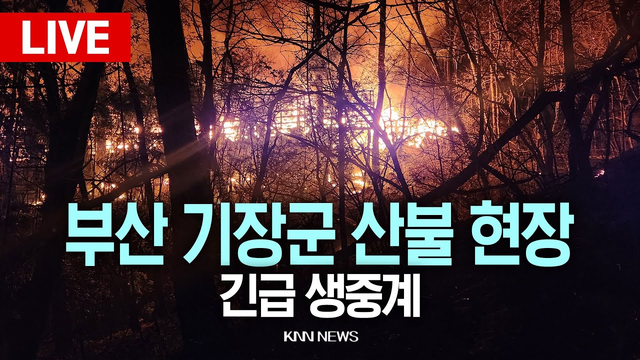 🔴현장LIVE 부산 기장군 대형 산불 현장 생중계 / KNN