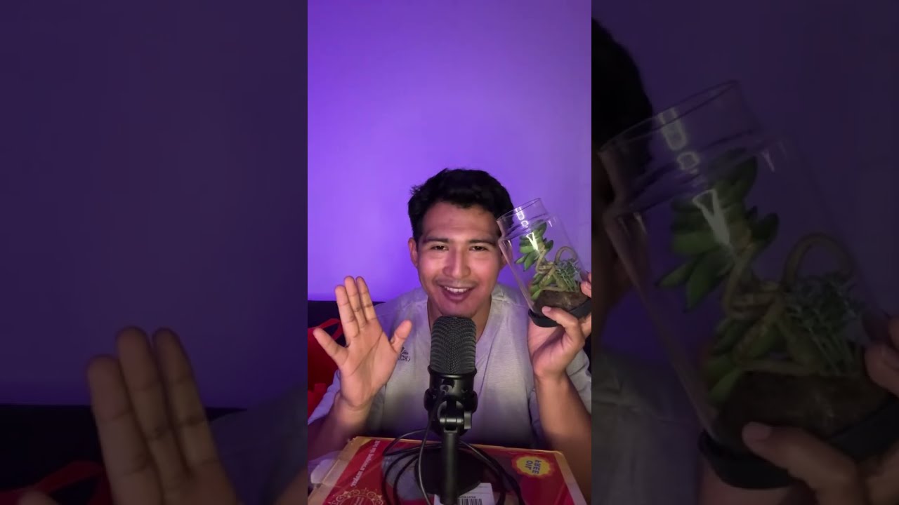 Necksa2 está en vivo