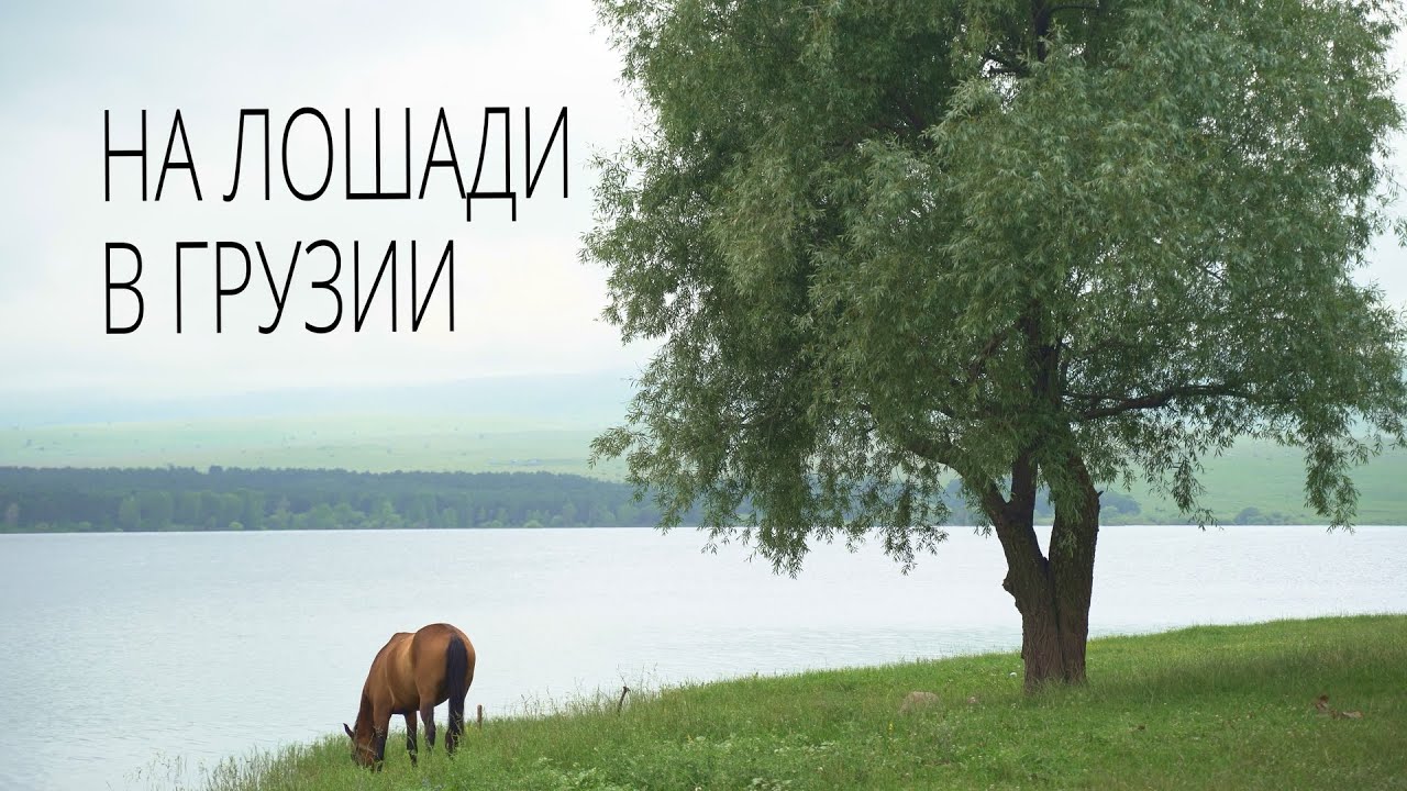 5 Georgia Грузия. Поход верхом на лошади. Дманиси Ремонт седла. Озеро Пантиани. Гомарети. Квадроцикл