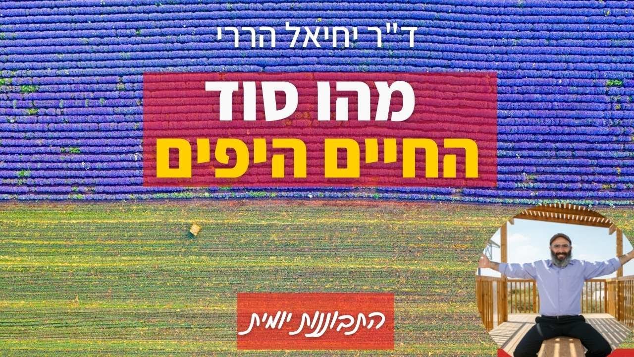 מהו סוד החיים היפים | התבוננות יומית - ד