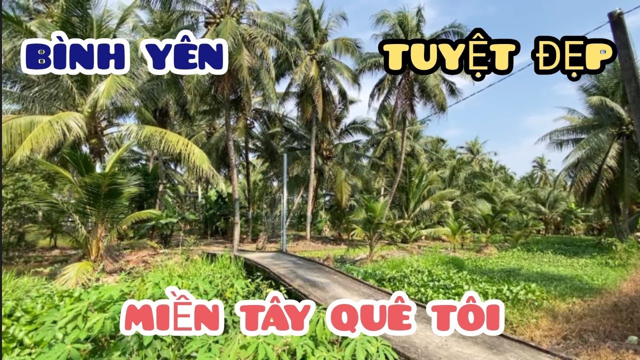 Возвращаюсь в свой родной город Чо Гао в провинции Тьензянг. Любуюсь живописными пейзажами.