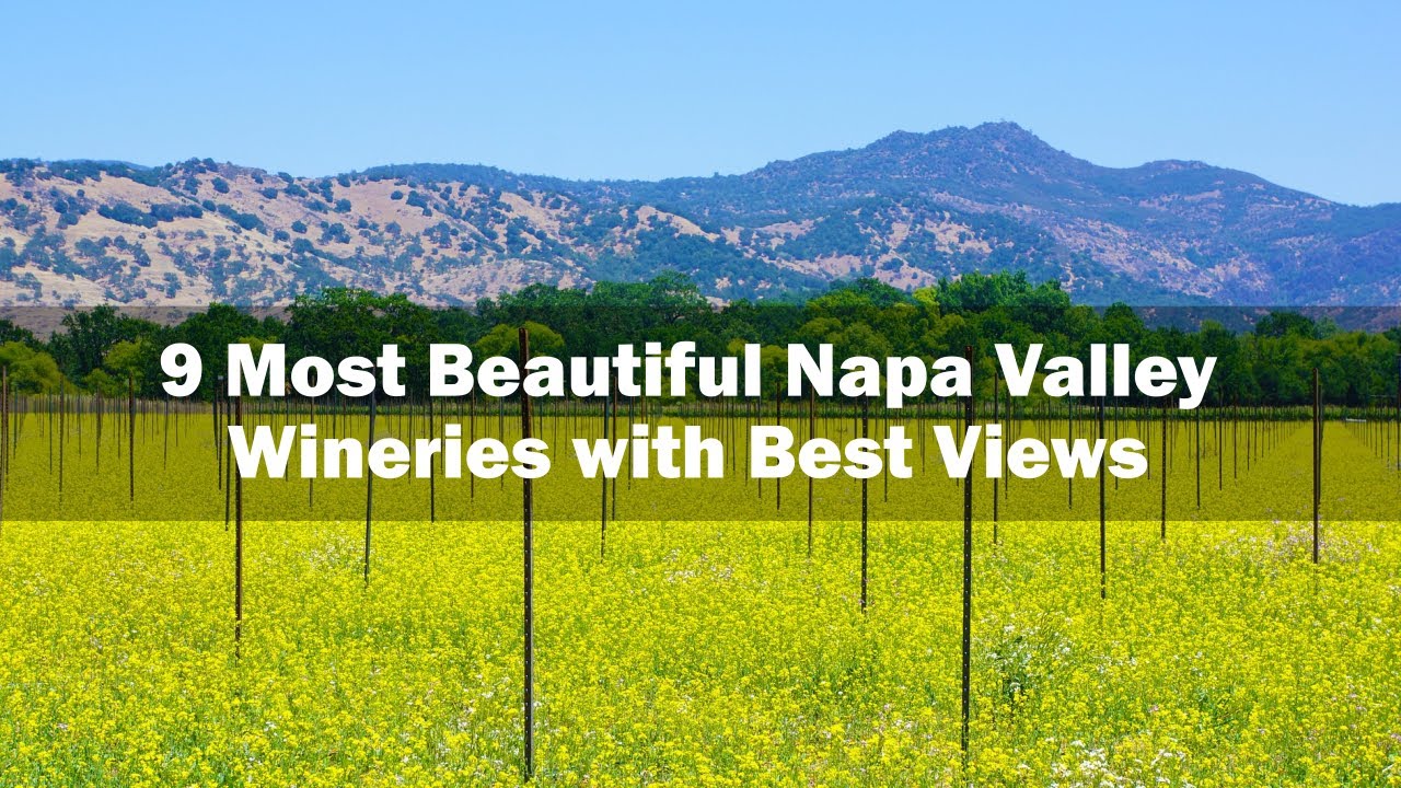 9 Most Beautiful Napa Valley Wineries with Best Views