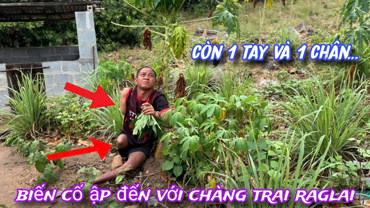 CÂU CHUYỆN và SỐ PHẬN chàng trai dân tộc RAGLAI không đầu hàng trước nghịch cảnh../502