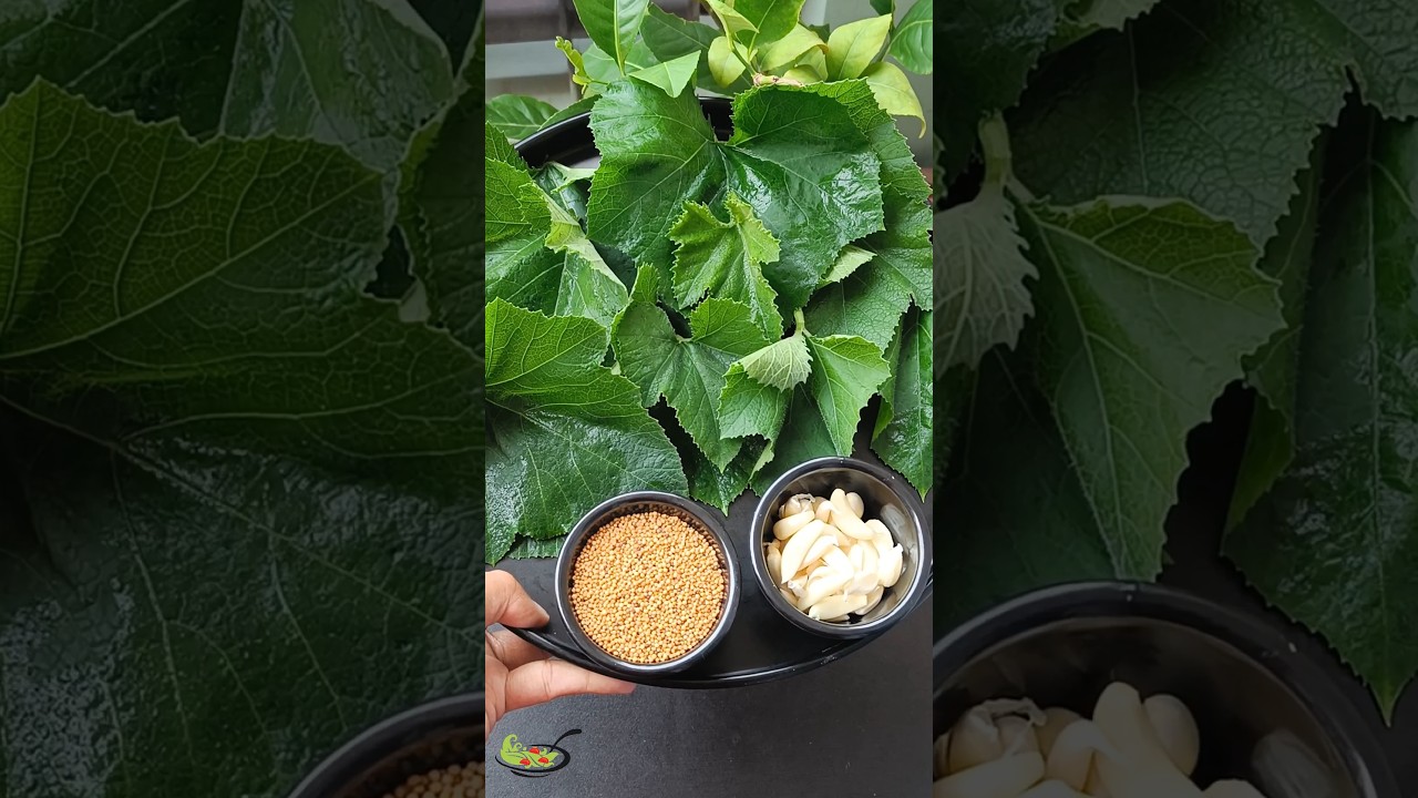 Kadima patta pakora | Kaddu patta pakora | Pumpkin Leaf Pakora | #shorts #pakora #pumpkin