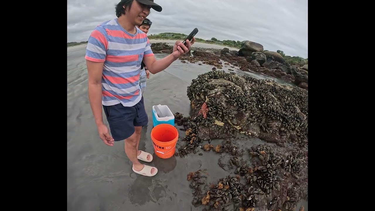 Mussels ni kuya Doms.