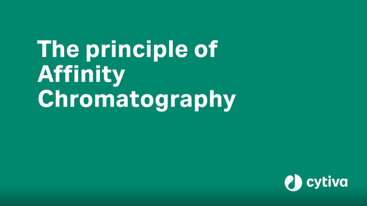 Principles of affinity chromatography explained