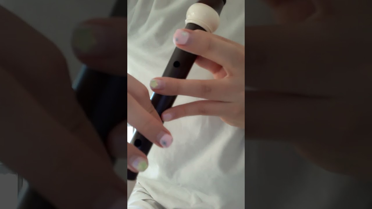 야생화 커버 세로버전 리코더 연주 (반주있음)