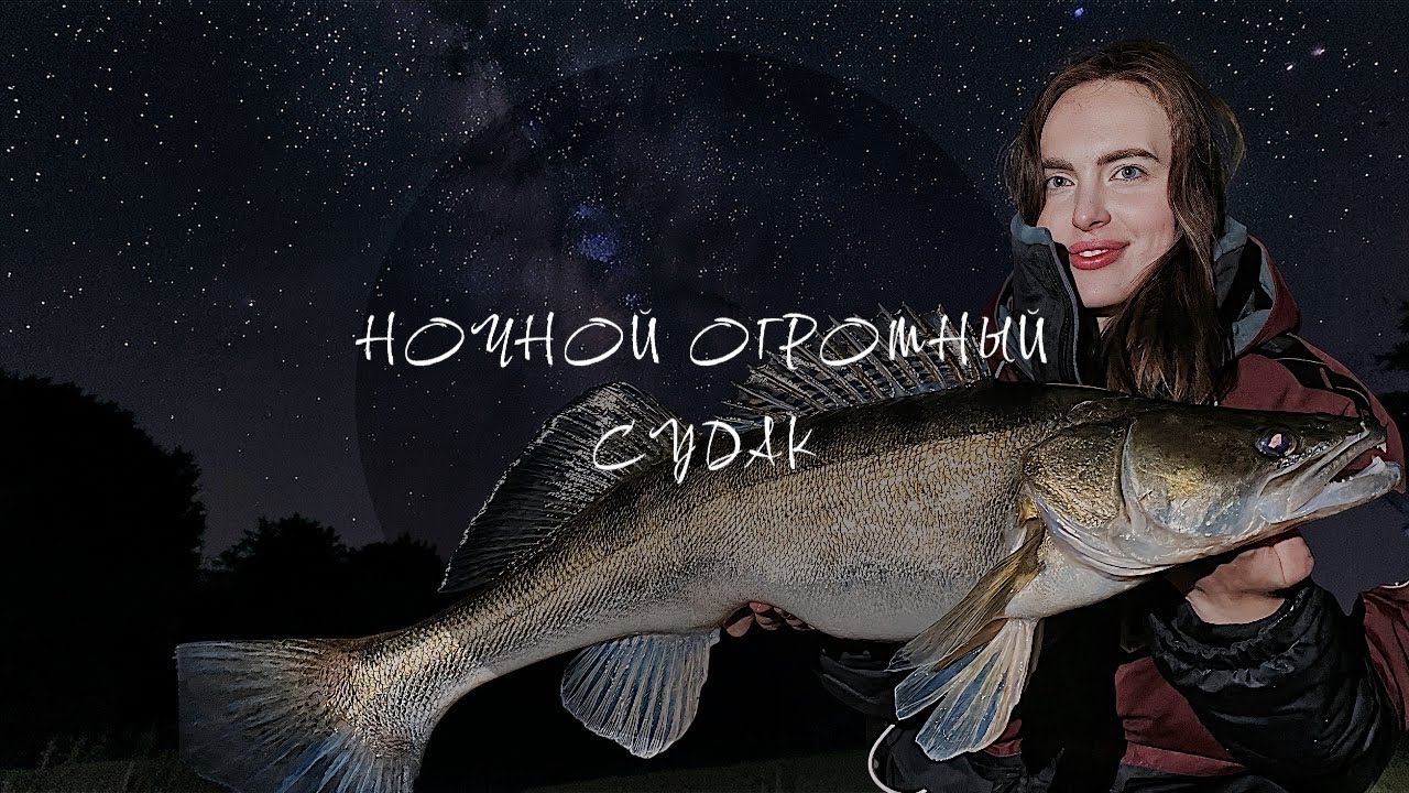 ЭТО НЕРЕАЛЬНО! ТАКОГО ОГРОМНОГО НОЧНОГО СУДАКА ВЫ ЕЩЕ НЕ ВИДЕЛИ ! 
